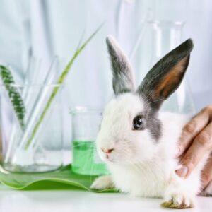 cosmetic testing on animals illegal in canada