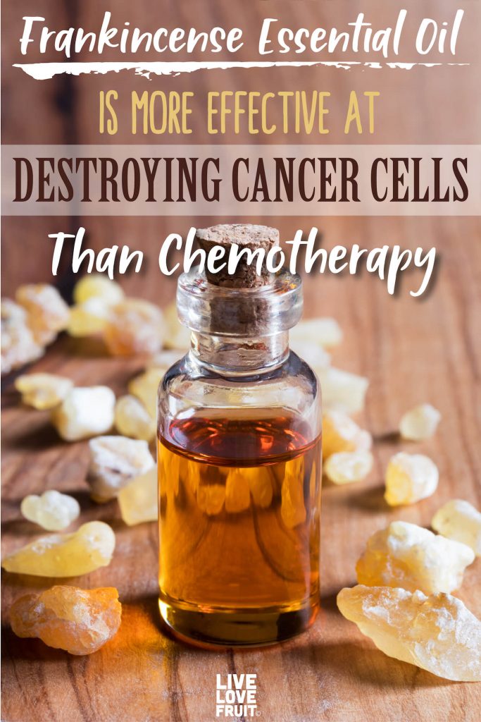 How to use frankincense oil for cancer