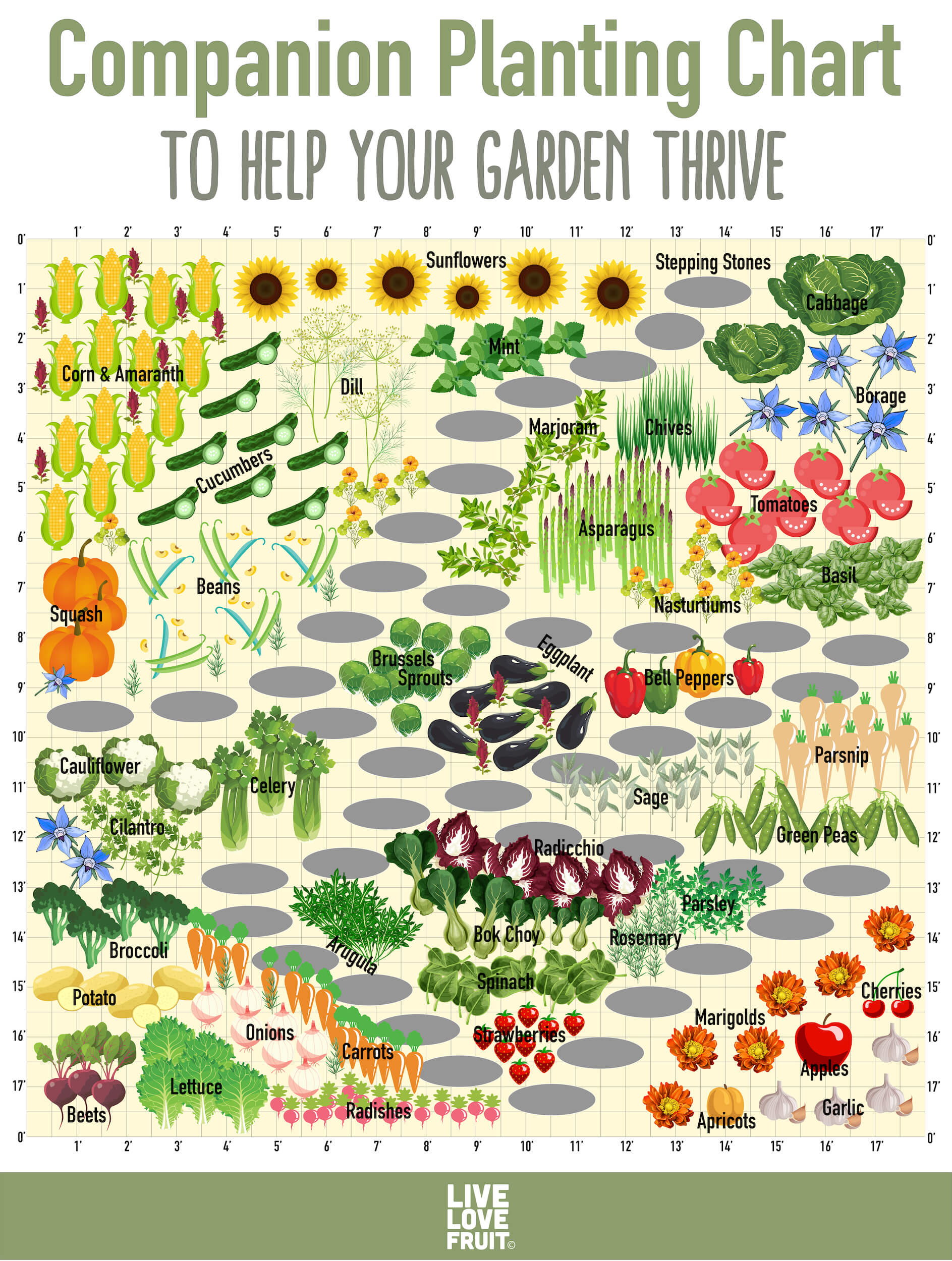 Use This Companion Planting Chart to Help Your Garden Thrive Live