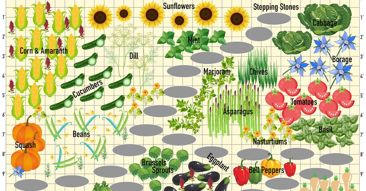 Use This Companion Planting Chart to Help Your Garden Thrive Live