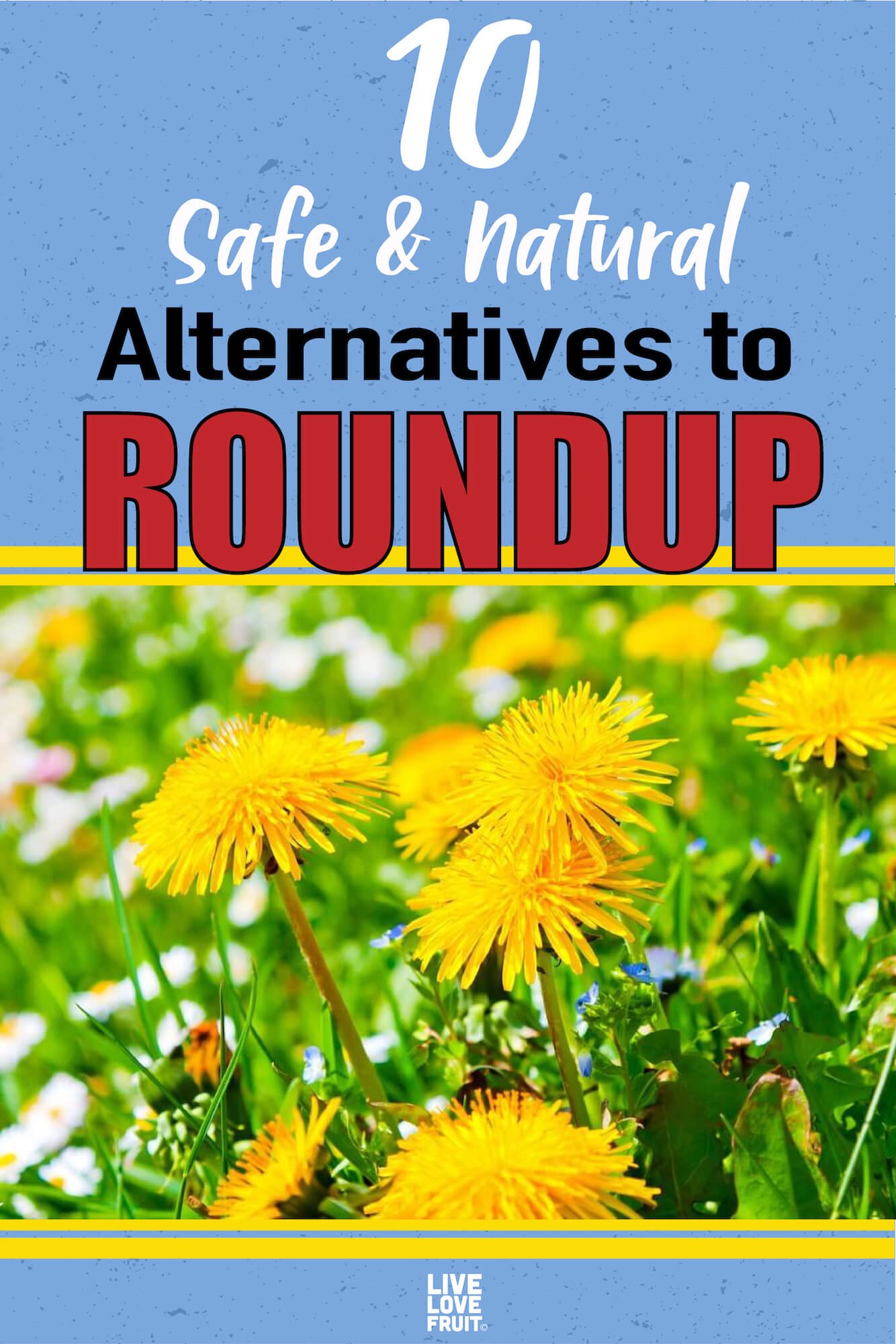 10 Safe and Natural Alternatives to Roundup - Live Love Fruit