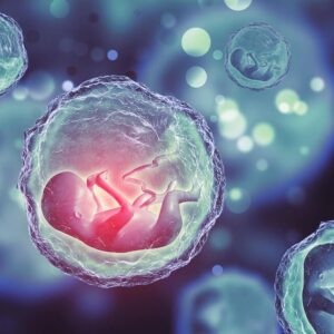 fetuses developing in sacs after prenatal pesticide exposure
