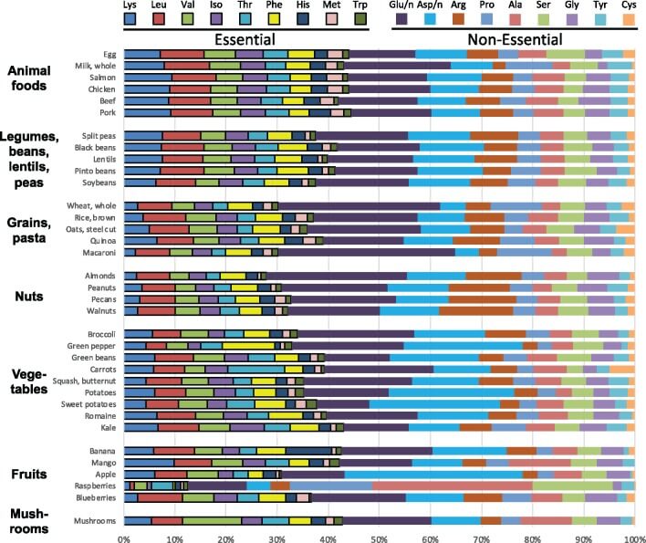 chart of complete protein in plant based foods