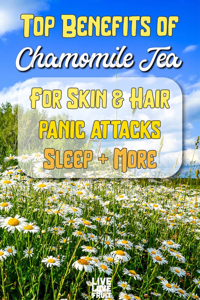 field of chamomile flowers and blue sky with text - top benefits of chamomile tea for skin & hair, panic attacks, sleep & more