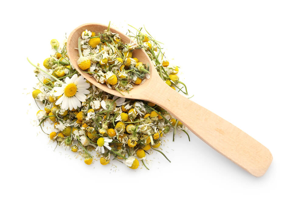 dried chamomile flowers with wooden spoon