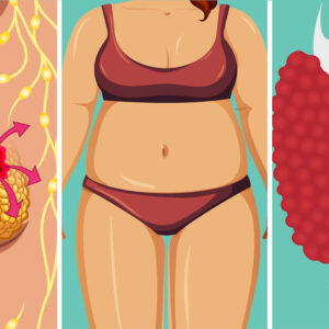 breast cancer, overweight and thyroid demonstrating damage that endocrine disruptors have on body