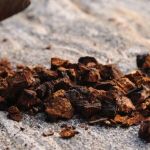 chaga mushroom chunks on table