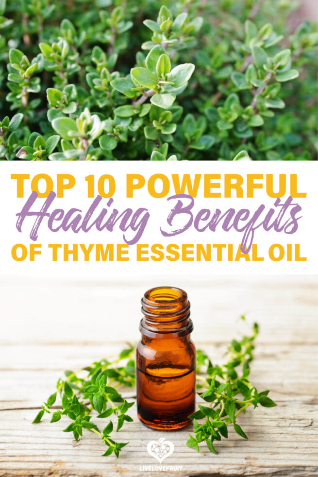 10 Uses and Benefits of Thyme Essential Oil Live Love Fruit