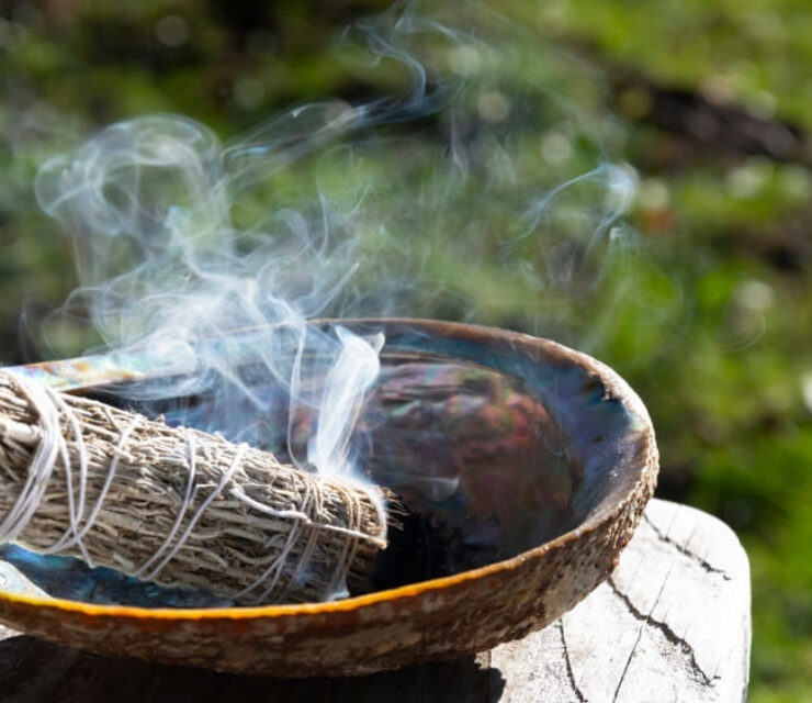 An image of a single white sage smudge stick smoldering in an abalone shell.